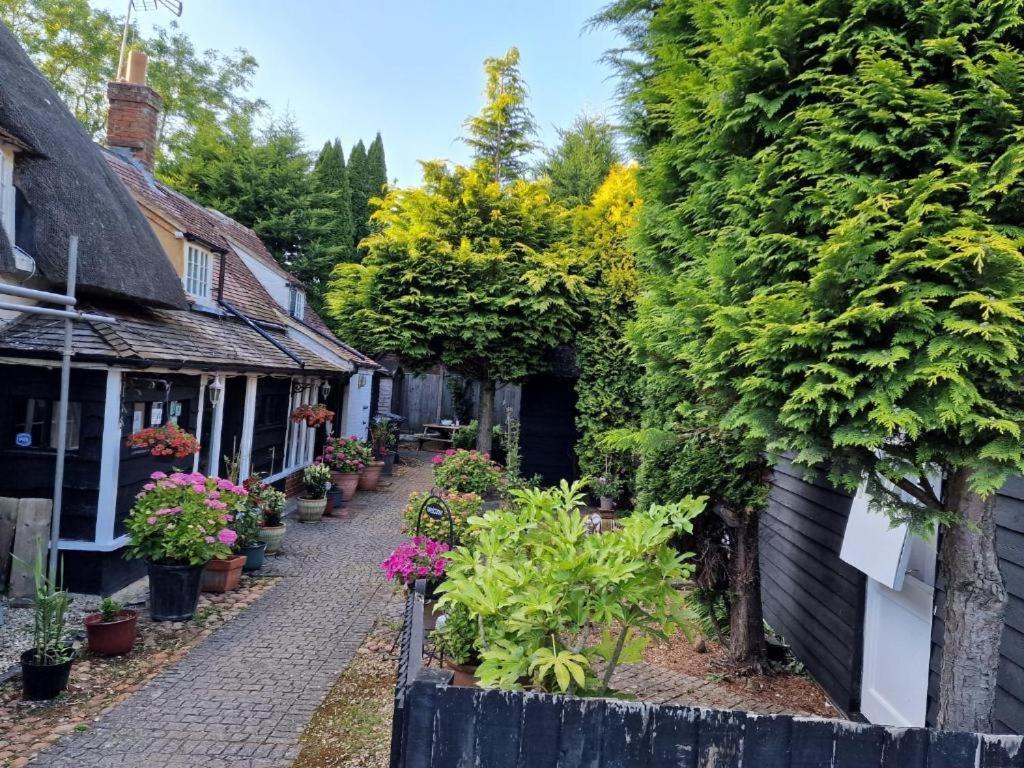Bed and Breakfast Abingplough House Abingdon-on-Thames Exteriér fotografie