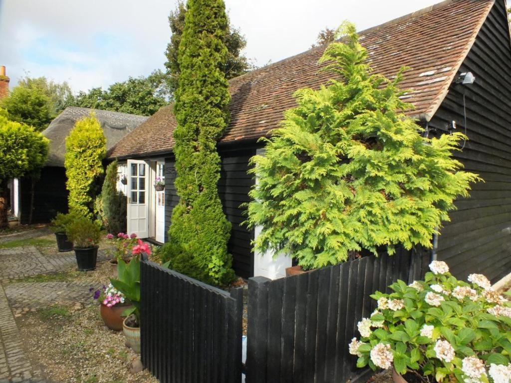 Bed and Breakfast Abingplough House Abingdon-on-Thames Exteriér fotografie